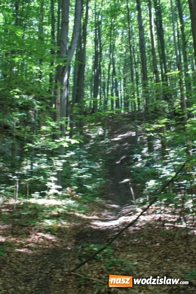 Zdjęcie w galerii na portalu naszwodzislaw.com: Quady i motocykle, które niszczą rezerwaty wiadomości z regionu