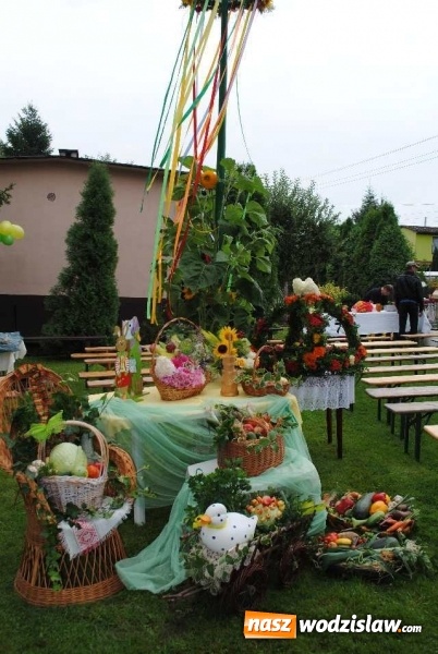 Zdjęcie w galerii na portalu naszwodzislaw.com: ROD Gaj&oacute;wka istnieje już 35 lat! wiadomości z regionu