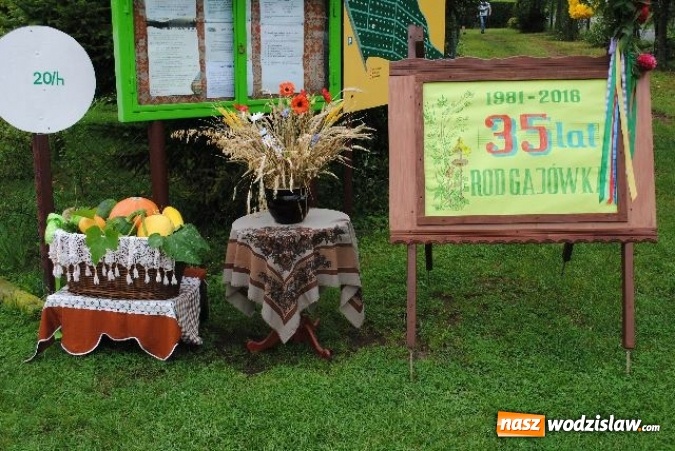 Zdjęcie w galerii na portalu naszwodzislaw.com: ROD Gaj&oacute;wka istnieje już 35 lat! wiadomości z regionu