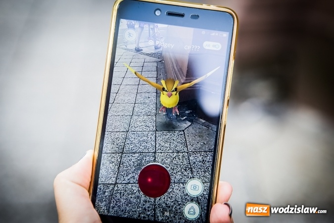 Zdjęcie w galerii na portalu naszwodzislaw.com: Pokemony opanowały cały świat, dotarły również do Wodzisławia Śląskiego  wiadomości z regionu