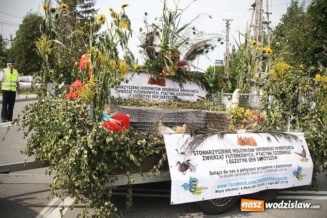 Zdjęcie w galerii na portalu naszwodzislaw.com: Maraton dożynkowy rozpoczęty. W Godowie dziękują za plony wiadomości z regionu