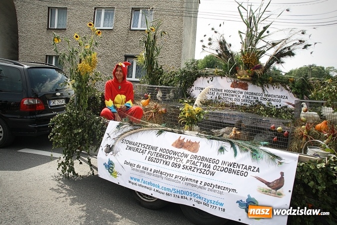 Zdjęcie w galerii na portalu naszwodzislaw.com: Maraton dożynkowy rozpoczęty. W Godowie dziękują za plony wiadomości z regionu