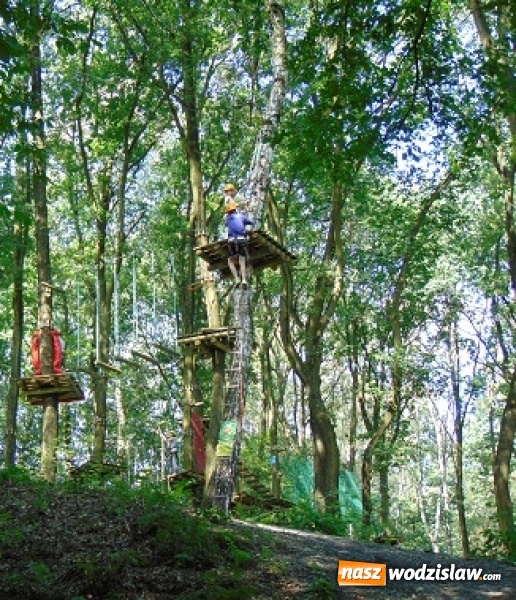 Zdjęcie w galerii na portalu naszwodzislaw.com: Pokonywali przeszkody - wakacyjna przygoda w parku linowym wiadomości z regionu