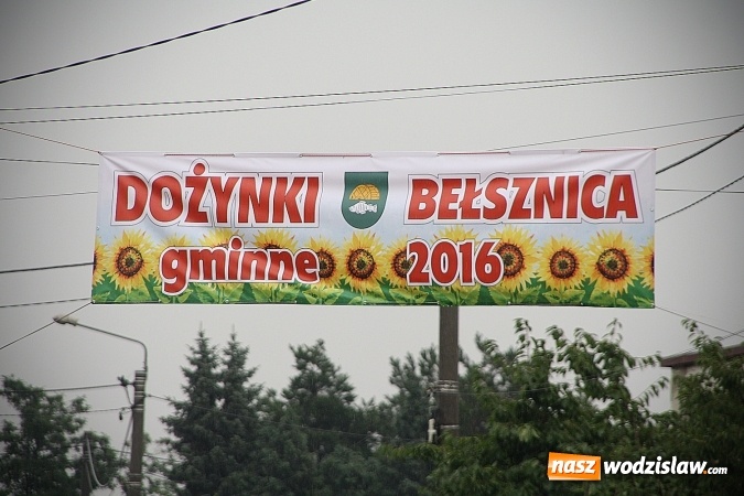 Zdjęcie w galerii na portalu naszwodzislaw.com: Dożynki 2016 – potężny korowód przejechał przez Bełsznicę  wiadomości z regionu