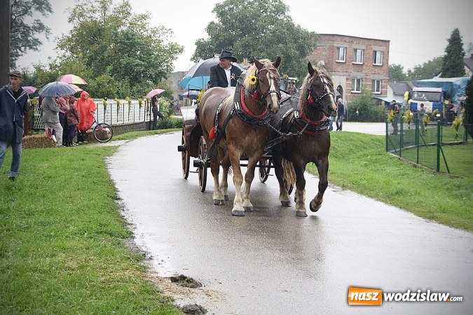 Zdjęcie w galerii na portalu naszwodzislaw.com: Dożynki 2016 – potężny korowód przejechał przez Bełsznicę  wiadomości z regionu