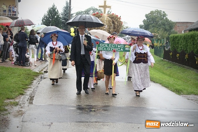 Zdjęcie w galerii na portalu naszwodzislaw.com: Dożynki 2016 – potężny korowód przejechał przez Bełsznicę  wiadomości z regionu