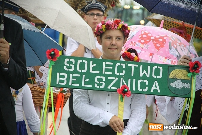 Zdjęcie w galerii na portalu naszwodzislaw.com: Dożynki 2016 – potężny korowód przejechał przez Bełsznicę  wiadomości z regionu