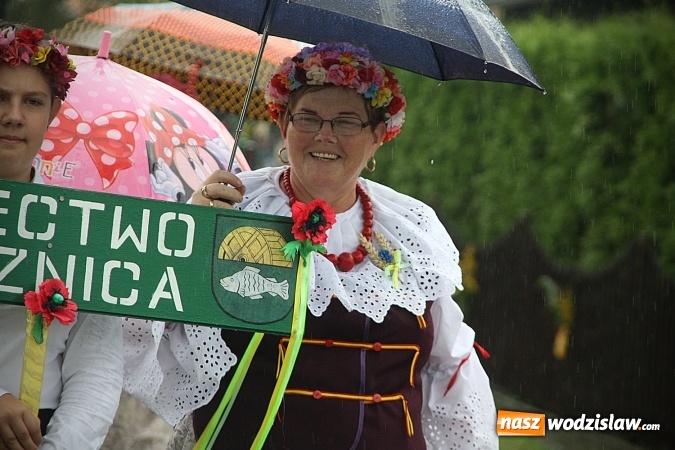 Zdjęcie w galerii na portalu naszwodzislaw.com: Dożynki 2016 – potężny korowód przejechał przez Bełsznicę  wiadomości z regionu