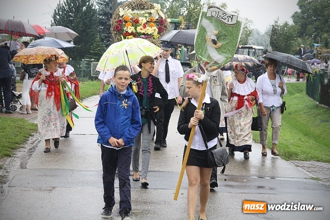 Zdjęcie w galerii na portalu naszwodzislaw.com: Dożynki 2016 – potężny korowód przejechał przez Bełsznicę  wiadomości z regionu