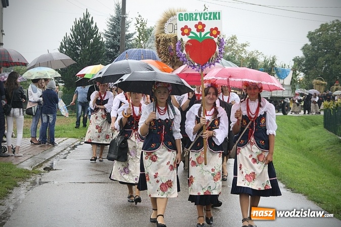 Zdjęcie w galerii na portalu naszwodzislaw.com: Dożynki 2016 – potężny korowód przejechał przez Bełsznicę  wiadomości z regionu