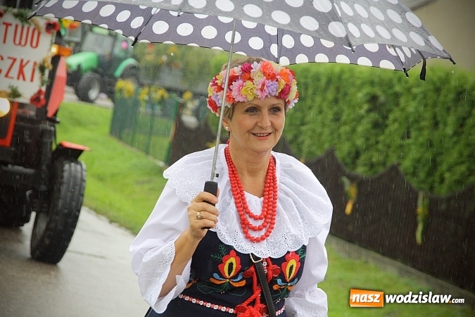 Zdjęcie w galerii na portalu naszwodzislaw.com: Dożynki 2016 – potężny korowód przejechał przez Bełsznicę  wiadomości z regionu