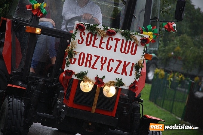 Zdjęcie w galerii na portalu naszwodzislaw.com: Dożynki 2016 – potężny korowód przejechał przez Bełsznicę  wiadomości z regionu