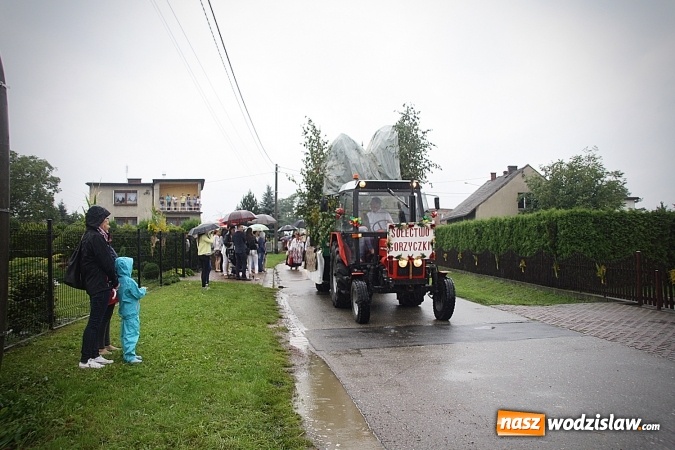 Zdjęcie w galerii na portalu naszwodzislaw.com: Dożynki 2016 – potężny korowód przejechał przez Bełsznicę  wiadomości z regionu