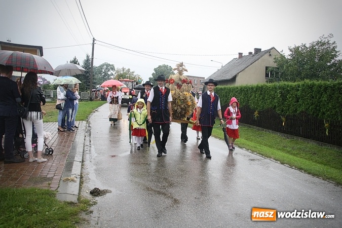 Zdjęcie w galerii na portalu naszwodzislaw.com: Dożynki 2016 – potężny korowód przejechał przez Bełsznicę  wiadomości z regionu