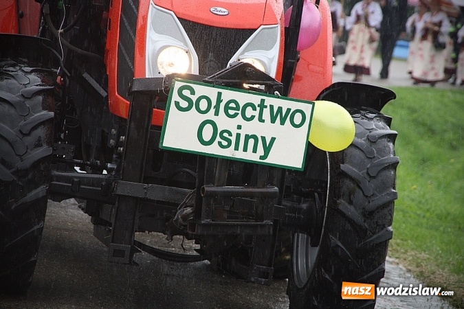 Zdjęcie w galerii na portalu naszwodzislaw.com: Dożynki 2016 – potężny korowód przejechał przez Bełsznicę  wiadomości z regionu