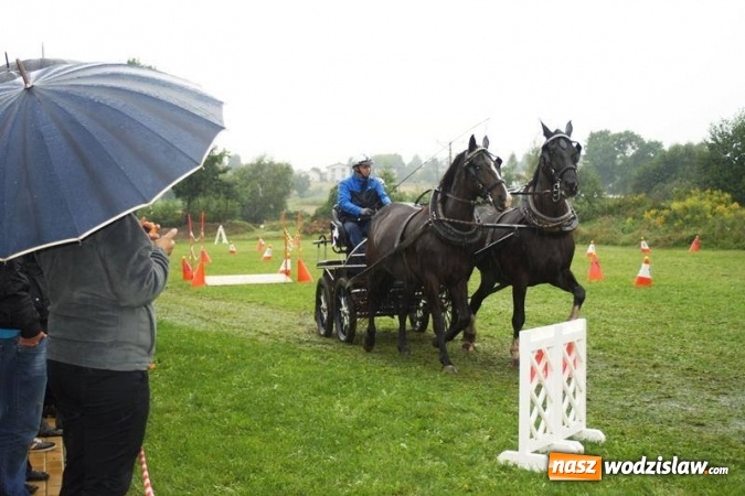 Zdjęcie w galerii na portalu naszwodzislaw.com: Mszana: I Zawody Zaprzęg&oacute;w Konnych za nami. Deszcz nie przestraszył uczestnik&oacute;w wiadomości z regionu