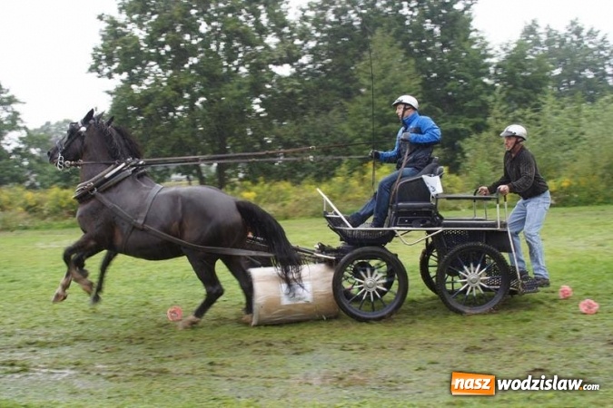 Zdjęcie w galerii na portalu naszwodzislaw.com: Mszana: I Zawody Zaprzęg&oacute;w Konnych za nami. Deszcz nie przestraszył uczestnik&oacute;w wiadomości z regionu