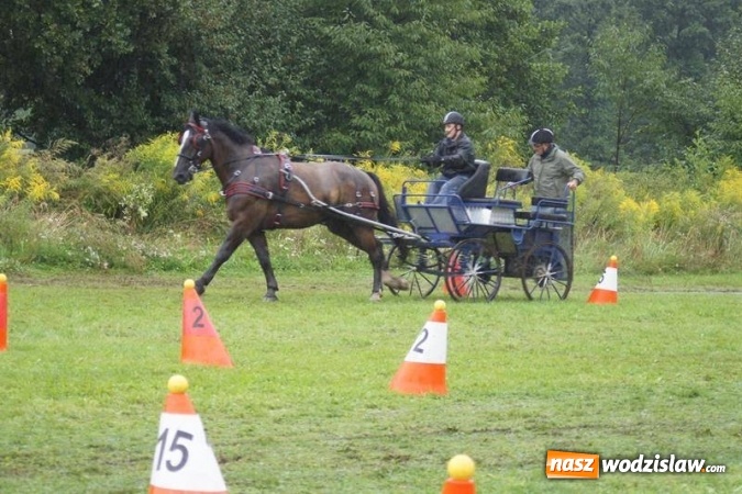 Zdjęcie w galerii na portalu naszwodzislaw.com: Mszana: I Zawody Zaprzęg&oacute;w Konnych za nami. Deszcz nie przestraszył uczestnik&oacute;w wiadomości z regionu