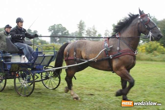 Zdjęcie w galerii na portalu naszwodzislaw.com: Mszana: I Zawody Zaprzęg&oacute;w Konnych za nami. Deszcz nie przestraszył uczestnik&oacute;w wiadomości z regionu