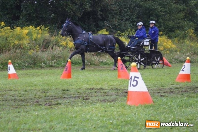Zdjęcie w galerii na portalu naszwodzislaw.com: Mszana: I Zawody Zaprzęg&oacute;w Konnych za nami. Deszcz nie przestraszył uczestnik&oacute;w wiadomości z regionu