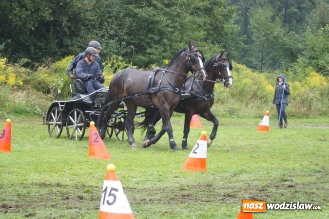 Zdjęcie w galerii na portalu naszwodzislaw.com: Mszana: I Zawody Zaprzęg&oacute;w Konnych za nami. Deszcz nie przestraszył uczestnik&oacute;w wiadomości z regionu