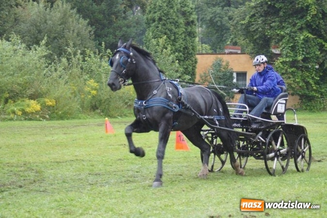 Zdjęcie w galerii na portalu naszwodzislaw.com: Mszana: I Zawody Zaprzęg&oacute;w Konnych za nami. Deszcz nie przestraszył uczestnik&oacute;w wiadomości z regionu