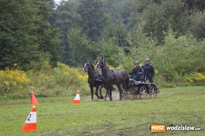 Zdjęcie w galerii na portalu naszwodzislaw.com: Mszana: I Zawody Zaprzęg&oacute;w Konnych za nami. Deszcz nie przestraszył uczestnik&oacute;w wiadomości z regionu