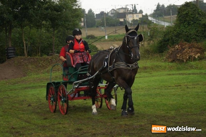 Zdjęcie w galerii na portalu naszwodzislaw.com: Mszana: I Zawody Zaprzęg&oacute;w Konnych za nami. Deszcz nie przestraszył uczestnik&oacute;w wiadomości z regionu
