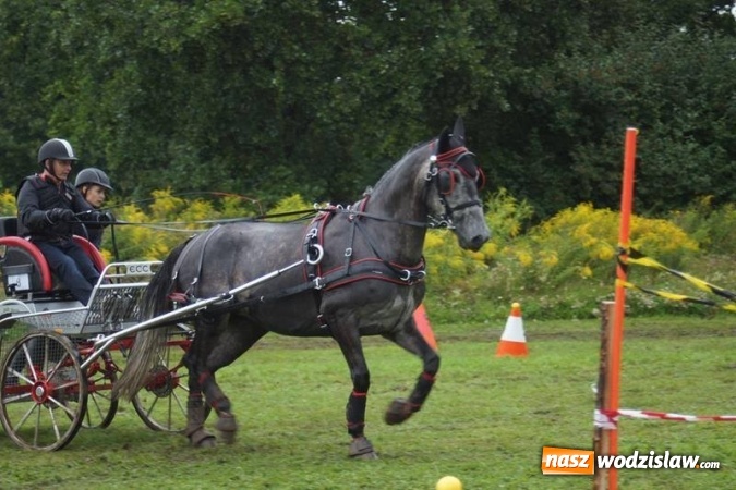 Zdjęcie w galerii na portalu naszwodzislaw.com: Mszana: I Zawody Zaprzęg&oacute;w Konnych za nami. Deszcz nie przestraszył uczestnik&oacute;w wiadomości z regionu