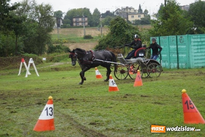 Zdjęcie w galerii na portalu naszwodzislaw.com: Mszana: I Zawody Zaprzęg&oacute;w Konnych za nami. Deszcz nie przestraszył uczestnik&oacute;w wiadomości z regionu
