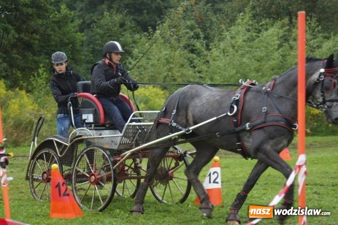 Zdjęcie w galerii na portalu naszwodzislaw.com: Mszana: I Zawody Zaprzęg&oacute;w Konnych za nami. Deszcz nie przestraszył uczestnik&oacute;w wiadomości z regionu