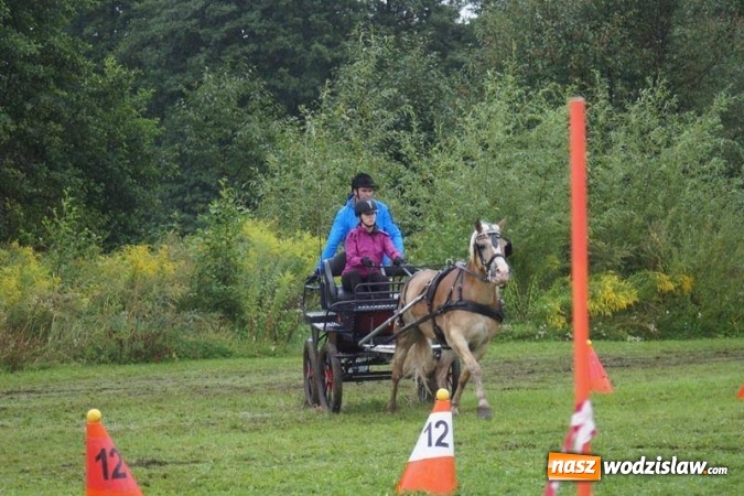 Zdjęcie w galerii na portalu naszwodzislaw.com: Mszana: I Zawody Zaprzęg&oacute;w Konnych za nami. Deszcz nie przestraszył uczestnik&oacute;w wiadomości z regionu