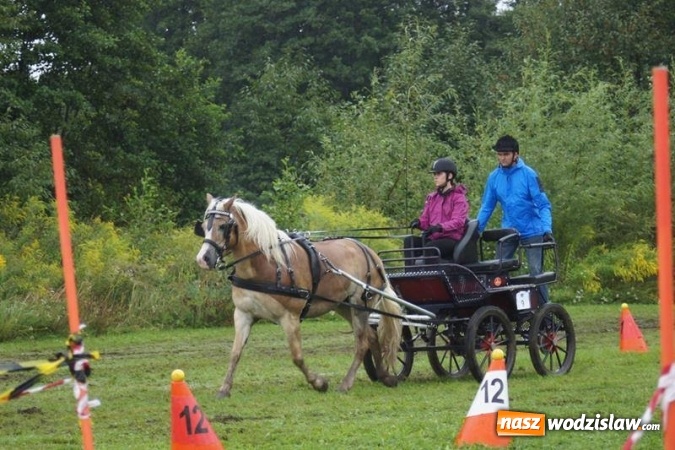 Zdjęcie w galerii na portalu naszwodzislaw.com: Mszana: I Zawody Zaprzęg&oacute;w Konnych za nami. Deszcz nie przestraszył uczestnik&oacute;w wiadomości z regionu