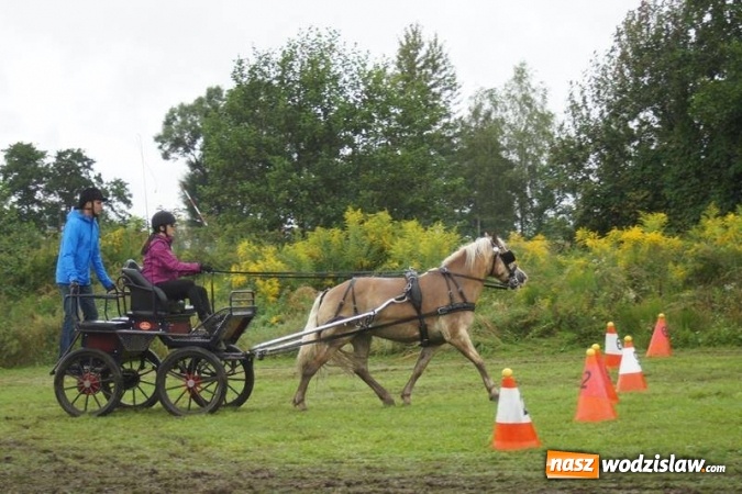 Zdjęcie w galerii na portalu naszwodzislaw.com: Mszana: I Zawody Zaprzęg&oacute;w Konnych za nami. Deszcz nie przestraszył uczestnik&oacute;w wiadomości z regionu