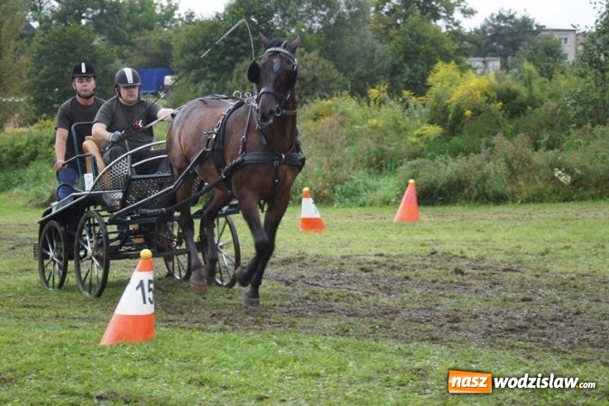Zdjęcie w galerii na portalu naszwodzislaw.com: Mszana: I Zawody Zaprzęg&oacute;w Konnych za nami. Deszcz nie przestraszył uczestnik&oacute;w wiadomości z regionu