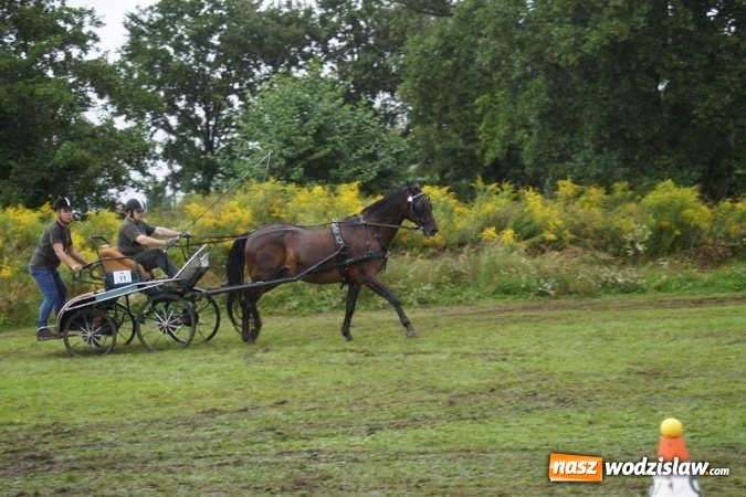 Zdjęcie w galerii na portalu naszwodzislaw.com: Mszana: I Zawody Zaprzęg&oacute;w Konnych za nami. Deszcz nie przestraszył uczestnik&oacute;w wiadomości z regionu