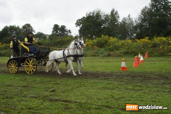 Zdjęcie w galerii na portalu naszwodzislaw.com: Mszana: I Zawody Zaprzęg&oacute;w Konnych za nami. Deszcz nie przestraszył uczestnik&oacute;w wiadomości z regionu