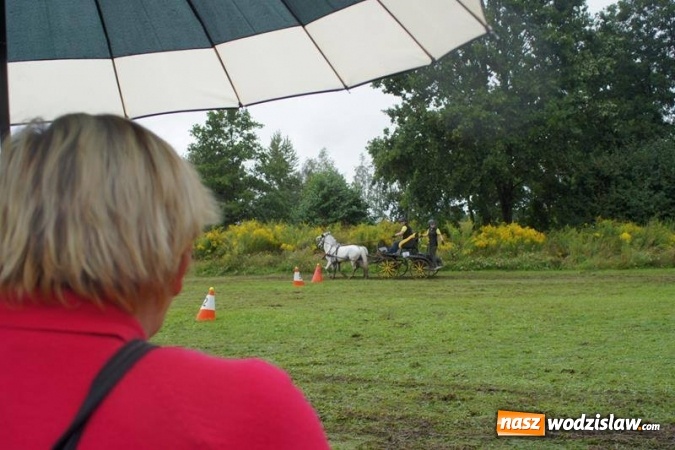 Zdjęcie w galerii na portalu naszwodzislaw.com: Mszana: I Zawody Zaprzęg&oacute;w Konnych za nami. Deszcz nie przestraszył uczestnik&oacute;w wiadomości z regionu