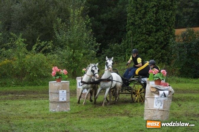 Zdjęcie w galerii na portalu naszwodzislaw.com: Mszana: I Zawody Zaprzęg&oacute;w Konnych za nami. Deszcz nie przestraszył uczestnik&oacute;w wiadomości z regionu