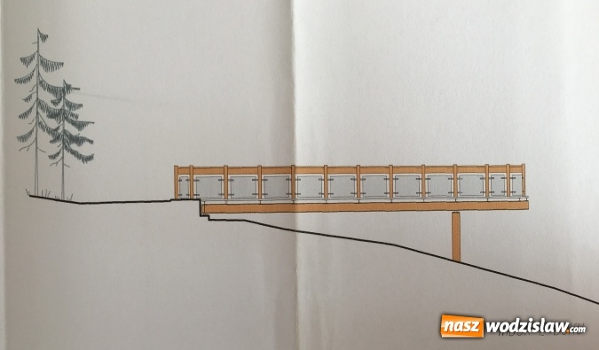 Zdjęcie w galerii na portalu naszwodzislaw.com: Platforma widokowa i zielona klasa – ambitny projekt dla Arboretum Bramy Morawskiej wiadomości z regionu