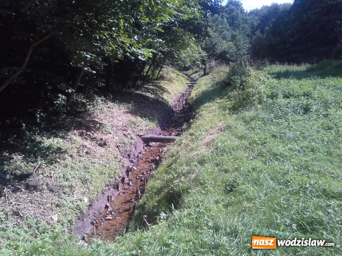 Zdjęcie w galerii na portalu naszwodzislaw.com: Rowy melioracyjne zostały oczyszczone  wiadomości z regionu