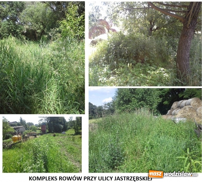 Zdjęcie w galerii na portalu naszwodzislaw.com: Rowy melioracyjne zostały oczyszczone  wiadomości z regionu