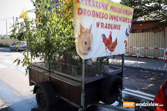 Zdjęcie w galerii na portalu naszwodzislaw.com: Dożynki 2016. Radlin świętuje wiadomości z regionu