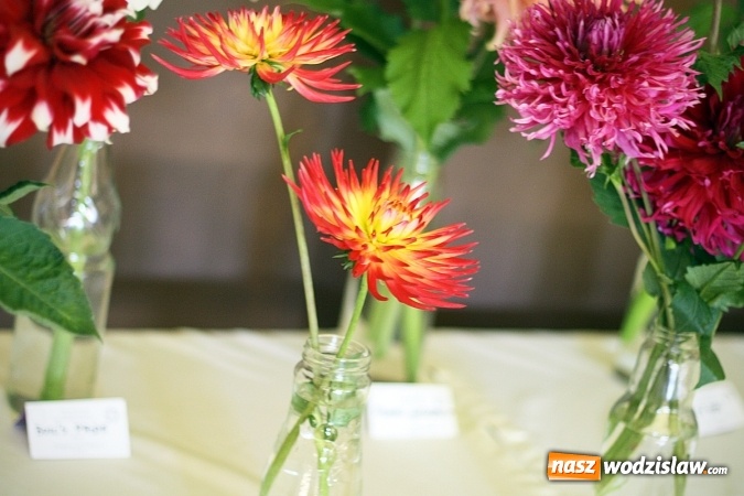 Zdjęcie w galerii na portalu naszwodzislaw.com: Daliami zapachniało w WDK Czyżowice wiadomości z regionu