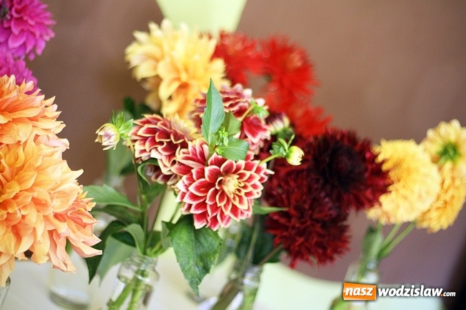 Zdjęcie w galerii na portalu naszwodzislaw.com: Daliami zapachniało w WDK Czyżowice wiadomości z regionu