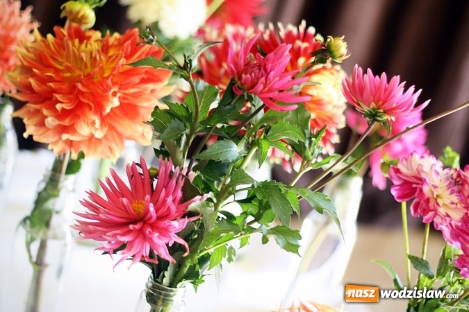 Zdjęcie w galerii na portalu naszwodzislaw.com: Daliami zapachniało w WDK Czyżowice wiadomości z regionu