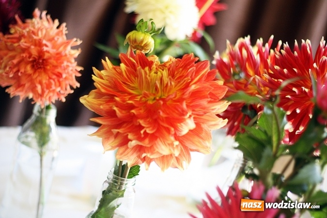 Zdjęcie w galerii na portalu naszwodzislaw.com: Daliami zapachniało w WDK Czyżowice wiadomości z regionu