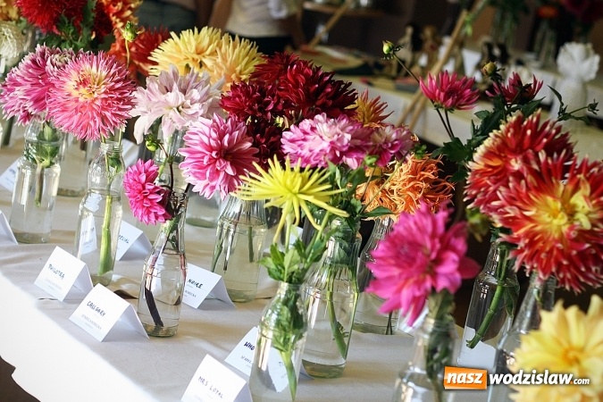 Zdjęcie w galerii na portalu naszwodzislaw.com: Daliami zapachniało w WDK Czyżowice wiadomości z regionu