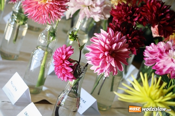 Zdjęcie w galerii na portalu naszwodzislaw.com: Daliami zapachniało w WDK Czyżowice wiadomości z regionu