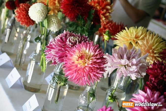 Zdjęcie w galerii na portalu naszwodzislaw.com: Daliami zapachniało w WDK Czyżowice wiadomości z regionu